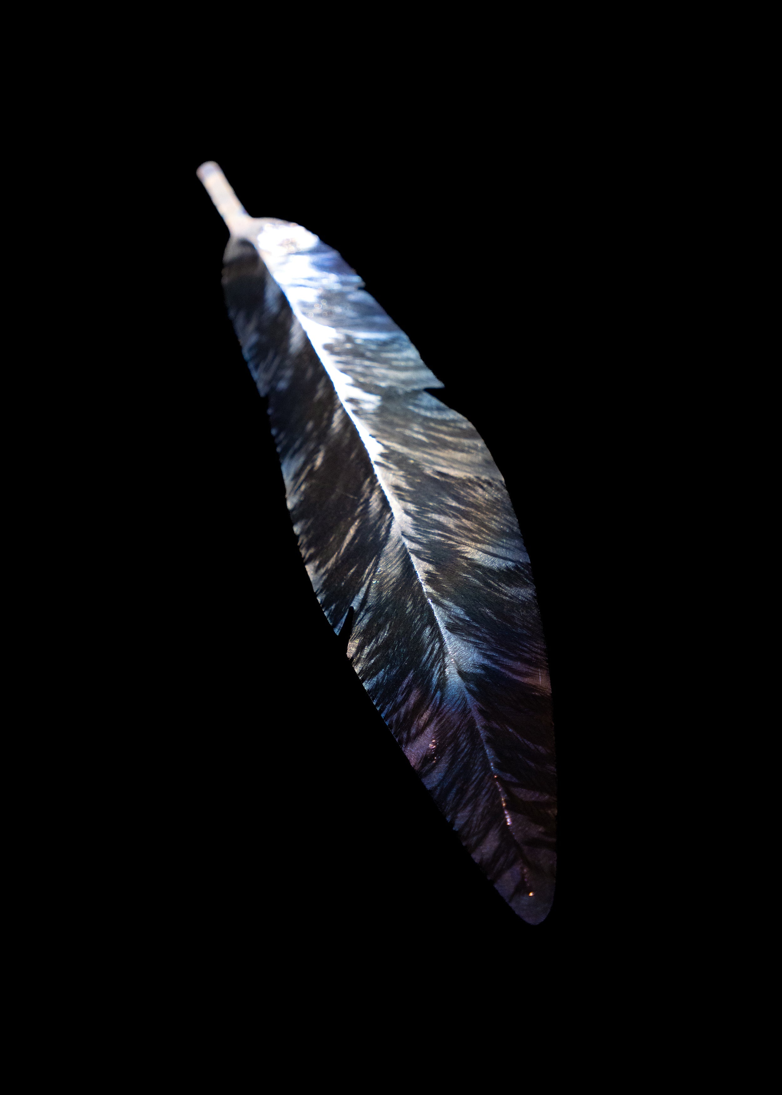 Signature Collection