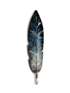 War Bonnet Series 1